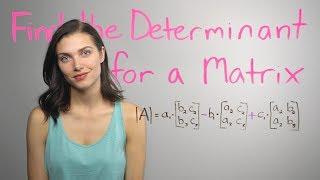 ︎² Matrix Determinants.. How? (mathbff)