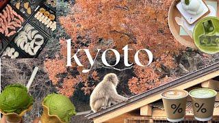 japan vlog | everything matcha, nishiki market, arashiyama bamboo forest & monkey park 