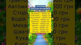 Робота праця вакансії підробіток в Україні #робота #вакансії