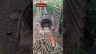 Беларусь останется без УРОЖАЯ! Фермеры в ужасе от непогоды #беларусь #урожай #огород #дождь #деревня
