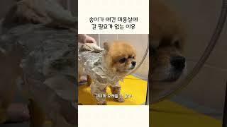 꿀피부 송이의 피부관리 루틴