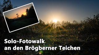 Fotowalk an den Brögberner Teichen