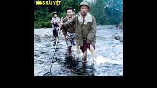 Nhiệm Vụ Của Chú Là Không Được C.h.ế.t !