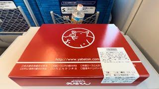 Misokatsu Yabaton in Nagoya  Riding the Japan's Bullet Train