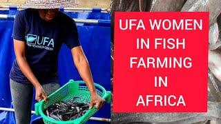 WOMEN IN FISH FARMING IN AFRICA (2022), FISH FARMING BUSINESS FOR WOMEN IN AFRICA