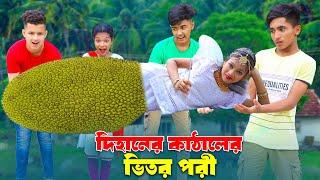 দিহানের কাঠালের ভিতর পরী | Dihaner Kathaler Vitor pori | bengail fairly tales | dihan | bihan |