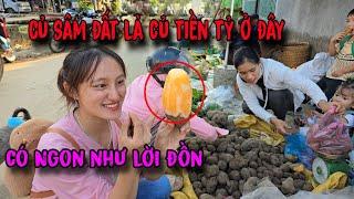 Truy Tìm Củ Sâm Đất Loại Củ Giúp Người Dân Kiếm Tiền Tỷ Đổi Đời | Song Nhi TV