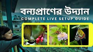 পাখি বাগান | Birds & Butterflies | Wildlife Gardening | How to attract Wildlife in your Garden