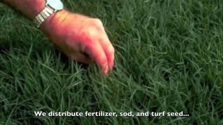 Grass Pad Jingle
