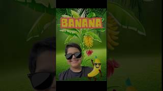 Midnight Banana  tree Break  #shorts #shortvideo #minivlog #viralmini #sadhyaandkhyattv #youtube