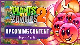 PvZ 2 Upcoming Content: BOOMBERRY, MAYBEE & UNIVERSAL ADVENTURE!! (News) | Plants vs Zombies 2