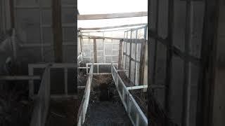 Теплица своими руками часть 2