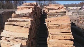 Expert warns about firewood scams