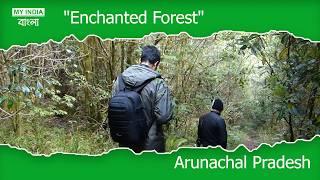 Deep Forest in Arunachal Pradesh | গভীর জঙ্গল |চমকে যাবেন