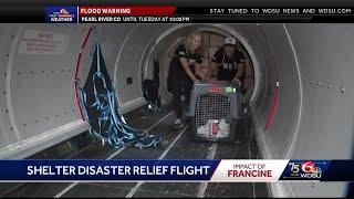 Louisiana pets displaced by Hurricane Francine flown to new homes