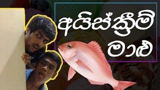 Funny Video - Ice Cream Fish | NAWRAN (2018)