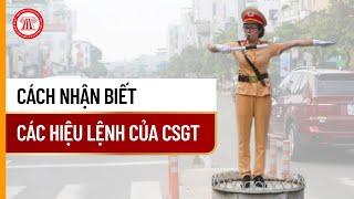 Cách Nhận Biết Các Hiệu Lệnh Của CSGT | THƯ VIỆN PHÁP LUẬT