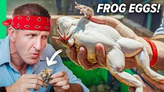 Surviving on Frog Meat!! Asia's Freakiest Farm Food!!