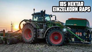 Wir legen 185 Hektar Raps mit dem Fendt 728 und einer Amazone Precea