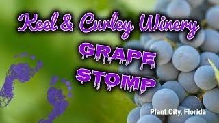 Keel and Curley Winery Grape Stomp