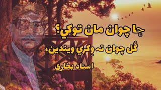 Gul chawan ta wikhri weendy l ustad bukhari poetry l sindhi poetry l ustad bukhari shayari