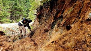 New Mineralized Quartz Vein Found 300 Meters From The 911 Showing!