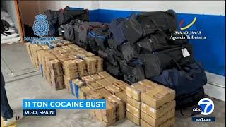 Spain seizes 11 tons of cocaine hidden in frozen tuna, 20 people arrested