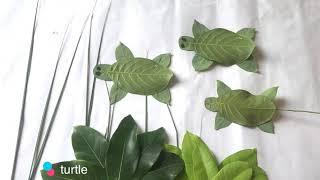 How to make turtle from jack fruit leaf/DIY easy hand made leaf craft for kids