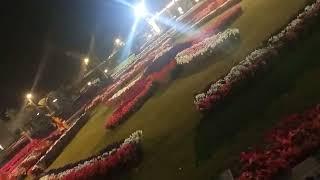 Flower Exhibition Royal Orchard Multan #royalorchard #flowerexhibition Part 4