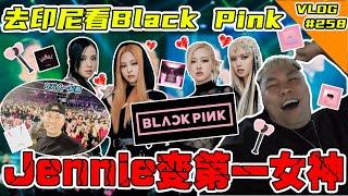 飞去印尼看BlackPink演唱会！去看我的第一女神Jennie！！！【VLOG】#258  @BLACKPINK