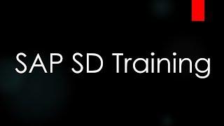 SAP ECC SD Training - Introduction to ERP and  SAP SD (Video 1) | SAP SD Sales and Distribution