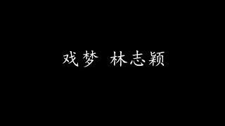 戏梦 林志颖 (歌词版)