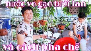 Nước vo gạo có tác dụng gì, cách pha nước vo gạo để tưới lan | trồng lan ban công