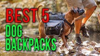 BEST 5: Dog Backpacks