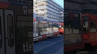 KVB Linie 17 in Doppeltraktion #viral #kvb #köln #rodenkirchen #fahrermangel