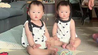 Cute Identical Twins: Heartwarming and Adorable Moments 