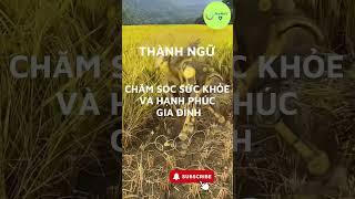 Chuyên Gia Chăm Sóc Sức Khỏe Tiết Lộ Bí Quyết Giữ Bạn và Gia Đình Bạn Sống Khỏe Mạnh