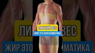 Лишний вес и жир, это психосоматика.