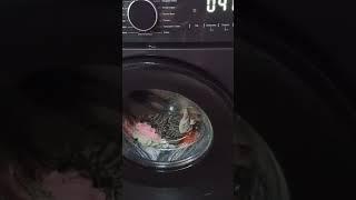 Купили инверторную стиральную машинку  в 06 50 41