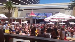 David Guetta Pool Party at Encore Beach Club - In the Beginning