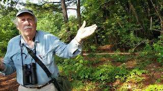 Beginning Bird Watching Tips from Birding Expert Alan Hale