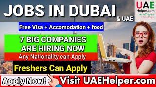 Lastest jobs for fresher in 7 big companies in Dubai UAE 2024