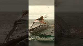 Woman hides on whale carcass to avoid shark attack
