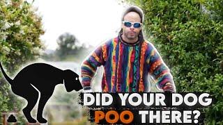 Did Your Dog POO There ?