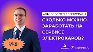 Сколько можно заработать на сервисе электрокаров? | АвтоБосс про электрокары