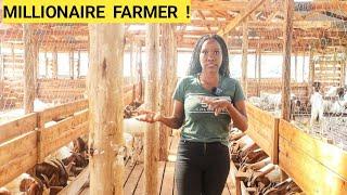 How To Feed GOATS In A Simple Goat Farm Business! | Better feeds, New kids (ROUTINE)