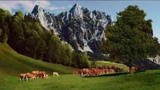 TV Spot - Boar's Head Switzerland - Swiss Cheese - From The Swiss Alps to You