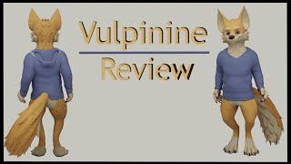 VRChat Avatar Vulpinine Review