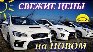 #автоподбор СВЕЖИЕ ЦЕНЫ НА НОВОМ