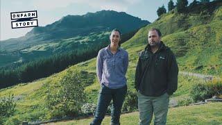 Under the Sacred Mountain - Mount Hikurangi | On Farm Story